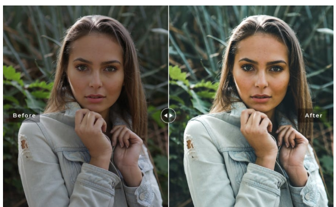 [Etsy] Special Mobile & Desktop Lightroom Presets _0.png